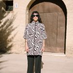Camisa ▼ ZEBRA
